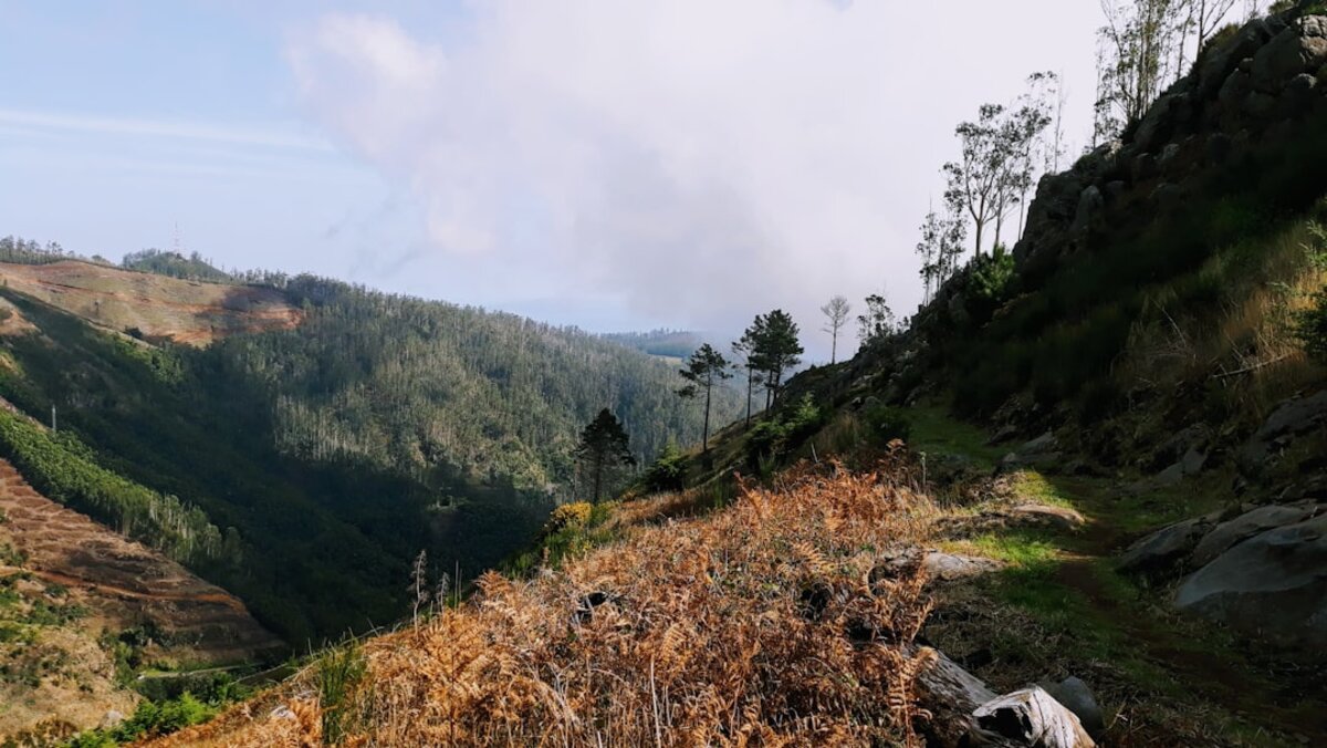 Conservation Through Recreation — How Outdoor Sports Protect Natural Landscapes