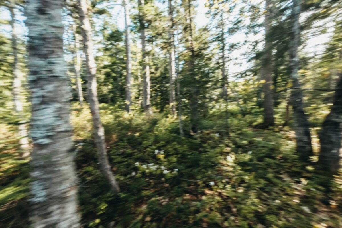 Athletes at winter training camp